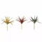 Set of 3 12" tall Assorted Aloe Faux Succulent Picks Sprays Stems Wedding Party